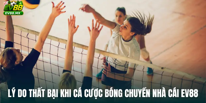 Lý do thất bại khi cá cược bóng chuyền nhà cái ev88