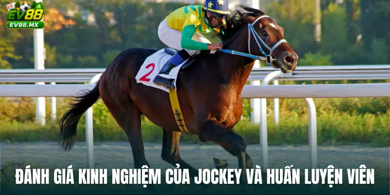 Đánh giá kinh nghiệm của Jockey và huấn luyện viên