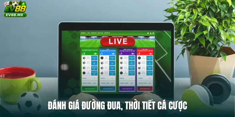 Đánh giá đường đua, thời tiết cá cược