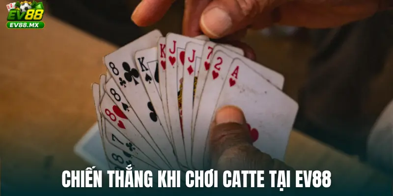 Chiến thắng khi chơi Catte tại EV88