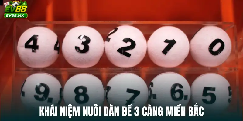 Khái niệm Nuôi Dàn Đề 3 Càng Miền Bắc