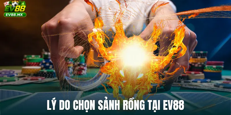 Lý do chọn Sảnh Rồng tại EV88