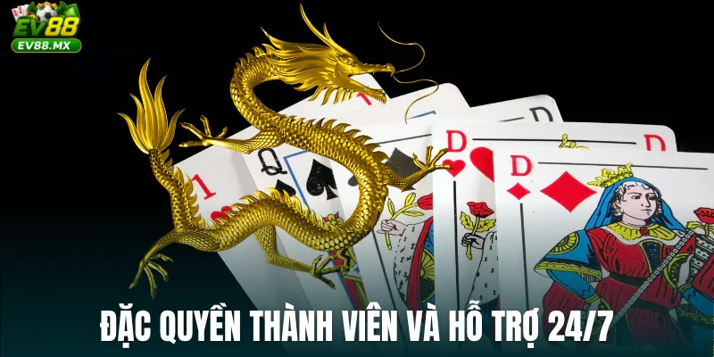 Đặc quyền thành viên và hỗ trợ 24/7